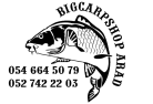    -  Big Carp Shop