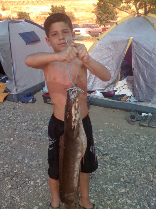 кинерет  сусита  песах  2008