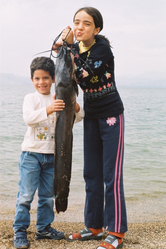 кинерет сусита сукот 2005