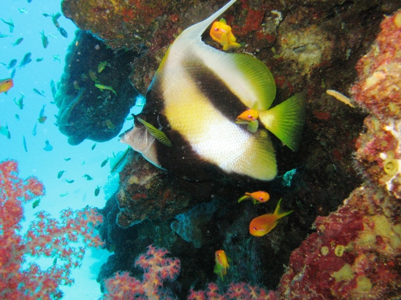 Eilat