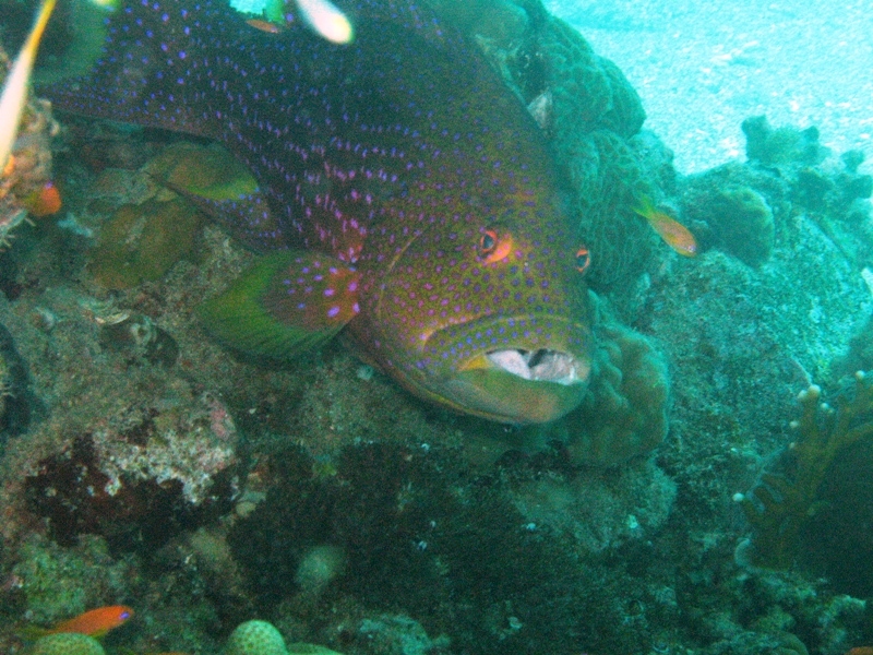 Eilat