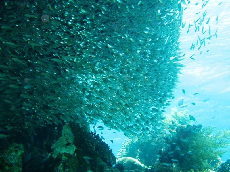 Eilat