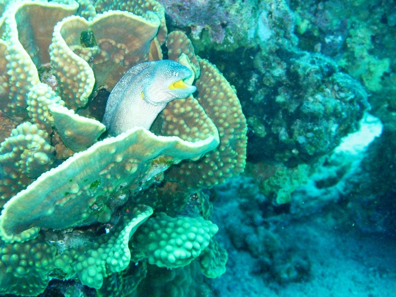 Eilat