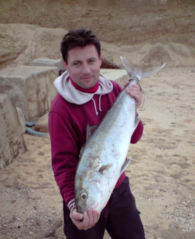 3.04.09 amberjack