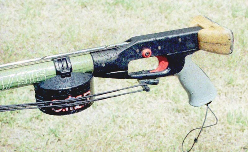 gun-2