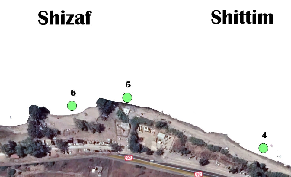 SHIZAF SHITTIM 14-01-2025