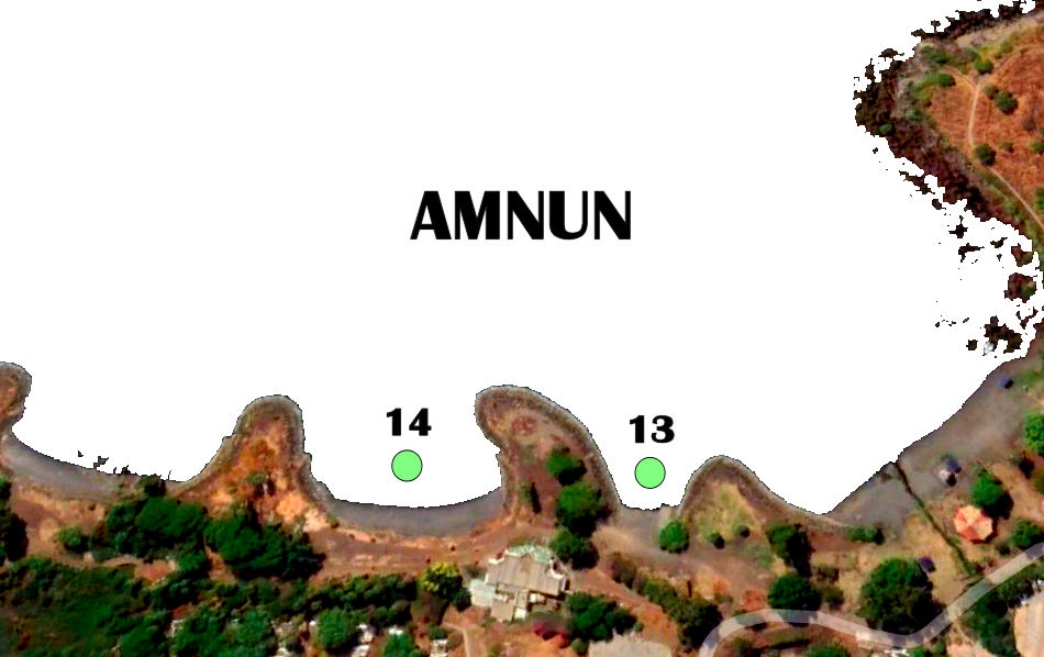 AMNUN 14-01-2025