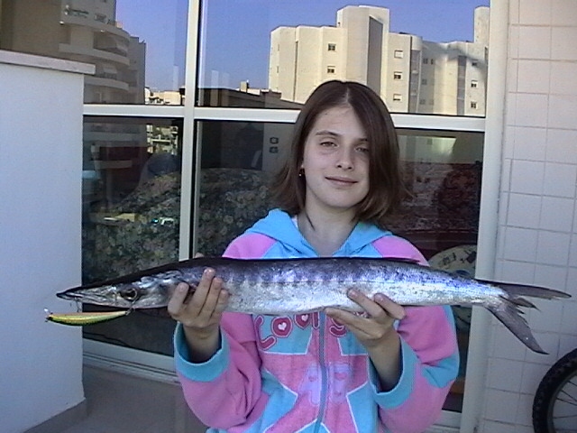 баракуда2006