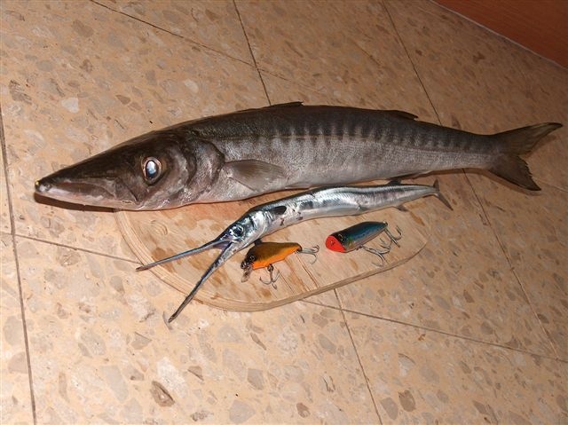 29092006malita