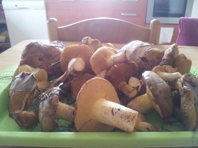 IMG-20151122-WA0000.jpg