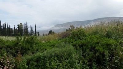 20150401_121954.jpg