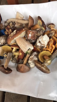 IMG-20170912-WA0009.jpg