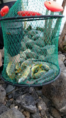 IMG-20150530-WA0018.jpg
