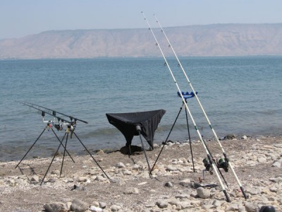 IMG_3376.jpg