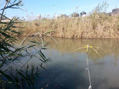 20140124_132753.jpg
