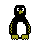 pengy :pengy: