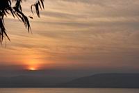 IMG_0329.JPG