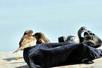 IMG_0361.JPG