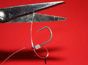 Cut link with sharp scissors